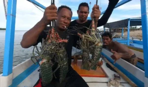 Tips Memancing Lobster: Seni Menyelam dan Menangkap Sang Raja Laut