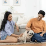 Hewan Peliharaan yang Cocok untuk Keluarga Muda