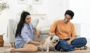 Hewan Peliharaan yang Cocok untuk Keluarga Muda Hewan Peliharaan yang Cocok untuk Keluarga Muda